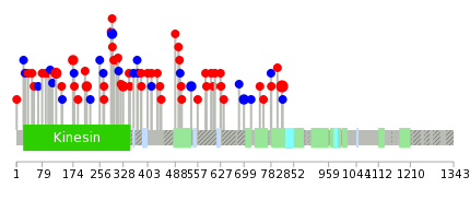 We used uniprot protein structure data from ensemble BioMart database. The size of circle shows the relative mutation number.