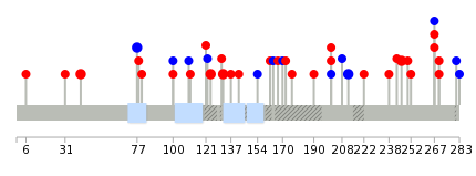 We used uniprot protein structure data from ensemble BioMart database. The size of circle shows the relative mutation number.