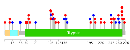 We used uniprot protein structure data from ensemble BioMart database. The size of circle shows the relative mutation number.