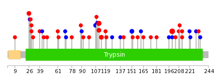 We used uniprot protein structure data from ensemble BioMart database. The size of circle shows the relative mutation number.