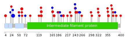 We used uniprot protein structure data from ensemble BioMart database. The size of circle shows the relative mutation number.