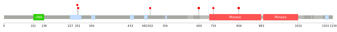 We used uniprot protein structure data from ensemble BioMart database. The size of circle shows the relative mutation number.