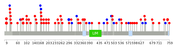 We used uniprot protein structure data from ensemble BioMart database. The size of circle shows the relative mutation number.