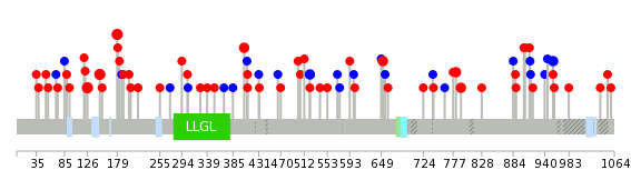 We used uniprot protein structure data from ensemble BioMart database. The size of circle shows the relative mutation number.