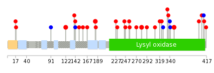 We used uniprot protein structure data from ensemble BioMart database. The size of circle shows the relative mutation number.