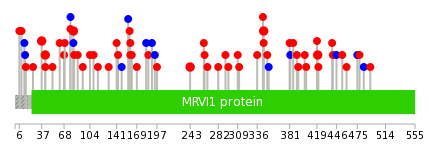 We used uniprot protein structure data from ensemble BioMart database. The size of circle shows the relative mutation number.