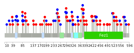 We used uniprot protein structure data from ensemble BioMart database. The size of circle shows the relative mutation number.