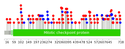 We used uniprot protein structure data from ensemble BioMart database. The size of circle shows the relative mutation number.