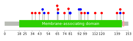 We used uniprot protein structure data from ensemble BioMart database. The size of circle shows the relative mutation number.