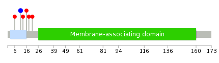 We used uniprot protein structure data from ensemble BioMart database. The size of circle shows the relative mutation number.