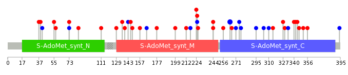 We used uniprot protein structure data from ensemble BioMart database. The size of circle shows the relative mutation number.