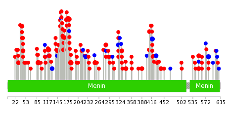 We used uniprot protein structure data from ensemble BioMart database. The size of circle shows the relative mutation number.