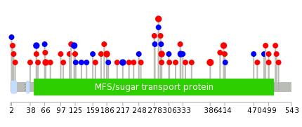 We used uniprot protein structure data from ensemble BioMart database. The size of circle shows the relative mutation number.