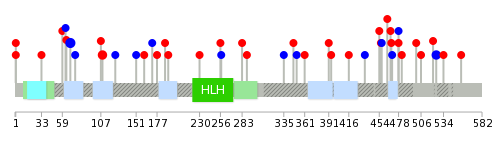 We used uniprot protein structure data from ensemble BioMart database. The size of circle shows the relative mutation number.