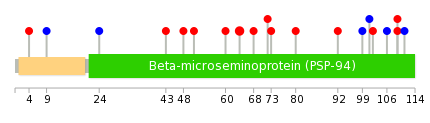 We used uniprot protein structure data from ensemble BioMart database. The size of circle shows the relative mutation number.