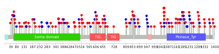 We used uniprot protein structure data from ensemble BioMart database. The size of circle shows the relative mutation number.