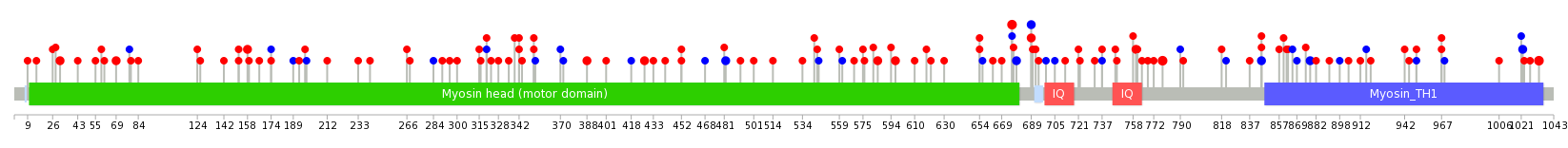 We used uniprot protein structure data from ensemble BioMart database. The size of circle shows the relative mutation number.