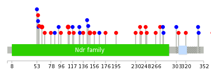 We used uniprot protein structure data from ensemble BioMart database. The size of circle shows the relative mutation number.