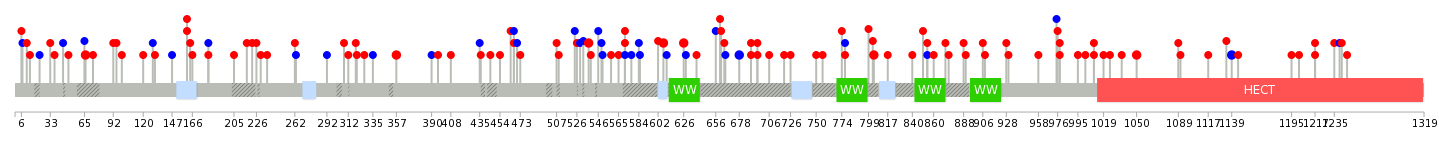 We used uniprot protein structure data from ensemble BioMart database. The size of circle shows the relative mutation number.