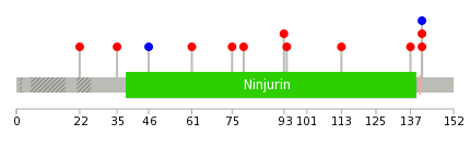 We used uniprot protein structure data from ensemble BioMart database. The size of circle shows the relative mutation number.