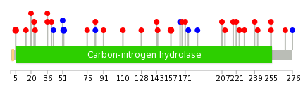 We used uniprot protein structure data from ensemble BioMart database. The size of circle shows the relative mutation number.