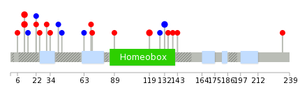 We used uniprot protein structure data from ensemble BioMart database. The size of circle shows the relative mutation number.