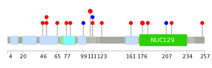 We used uniprot protein structure data from ensemble BioMart database. The size of circle shows the relative mutation number.