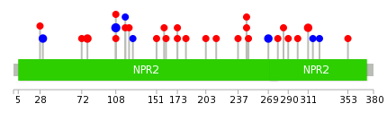 We used uniprot protein structure data from ensemble BioMart database. The size of circle shows the relative mutation number.