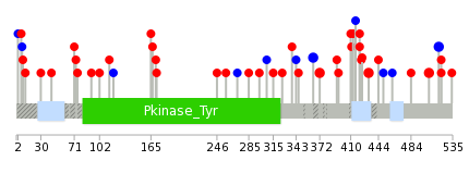 We used uniprot protein structure data from ensemble BioMart database. The size of circle shows the relative mutation number.