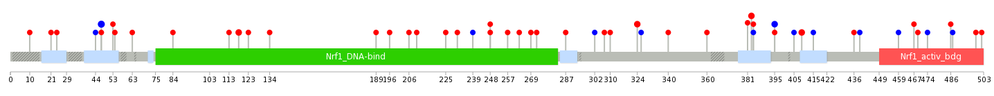 We used uniprot protein structure data from ensemble BioMart database. The size of circle shows the relative mutation number.