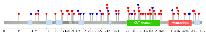 We used uniprot protein structure data from ensemble BioMart database. The size of circle shows the relative mutation number.