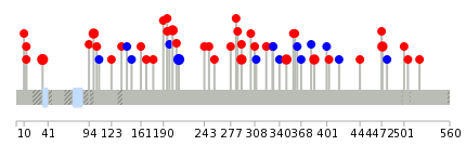 We used uniprot protein structure data from ensemble BioMart database. The size of circle shows the relative mutation number.