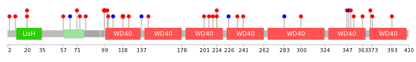 We used uniprot protein structure data from ensemble BioMart database. The size of circle shows the relative mutation number.