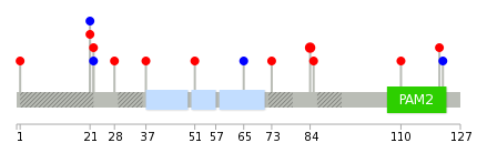 We used uniprot protein structure data from ensemble BioMart database. The size of circle shows the relative mutation number.