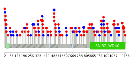 We used uniprot protein structure data from ensemble BioMart database. The size of circle shows the relative mutation number.