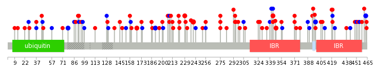 We used uniprot protein structure data from ensemble BioMart database. The size of circle shows the relative mutation number.