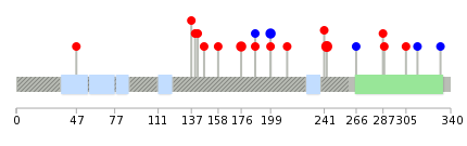 We used uniprot protein structure data from ensemble BioMart database. The size of circle shows the relative mutation number.