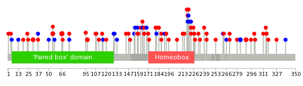 We used uniprot protein structure data from ensemble BioMart database. The size of circle shows the relative mutation number.