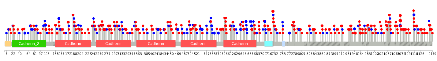 We used uniprot protein structure data from ensemble BioMart database. The size of circle shows the relative mutation number.