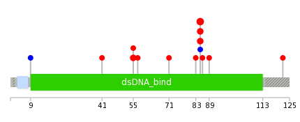 We used uniprot protein structure data from ensemble BioMart database. The size of circle shows the relative mutation number.