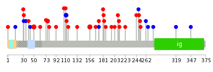 We used uniprot protein structure data from ensemble BioMart database. The size of circle shows the relative mutation number.