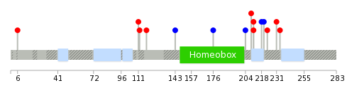 We used uniprot protein structure data from ensemble BioMart database. The size of circle shows the relative mutation number.