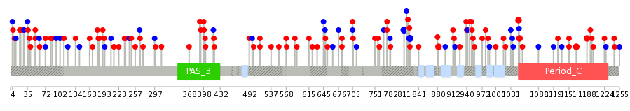 We used uniprot protein structure data from ensemble BioMart database. The size of circle shows the relative mutation number.