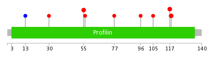 We used uniprot protein structure data from ensemble BioMart database. The size of circle shows the relative mutation number.