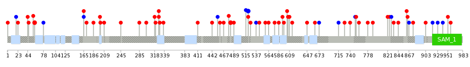 We used uniprot protein structure data from ensemble BioMart database. The size of circle shows the relative mutation number.