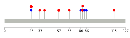 We used uniprot protein structure data from ensemble BioMart database. The size of circle shows the relative mutation number.