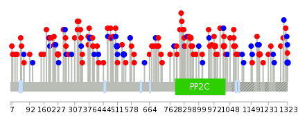 We used uniprot protein structure data from ensemble BioMart database. The size of circle shows the relative mutation number.