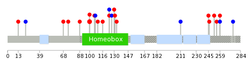 We used uniprot protein structure data from ensemble BioMart database. The size of circle shows the relative mutation number.