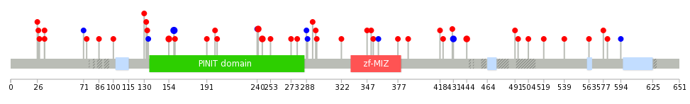 We used uniprot protein structure data from ensemble BioMart database. The size of circle shows the relative mutation number.