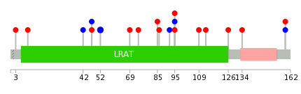 We used uniprot protein structure data from ensemble BioMart database. The size of circle shows the relative mutation number.